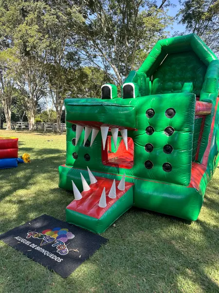 Foto do brinquedo Tobogã Premium Jacaré