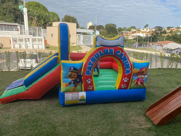 Foto do brinquedo Patrulha Canina Soft