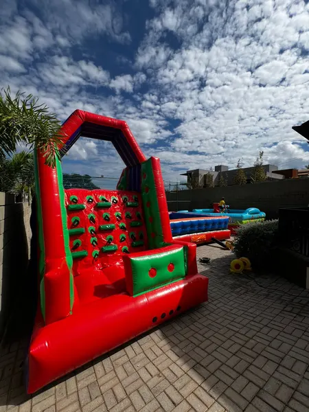 Foto do brinquedo Tobogã Premium Escalada